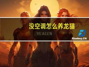 没空调怎么养龙猫