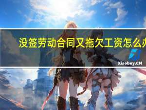 没签劳动合同又拖欠工资怎么办