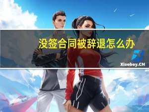 没签合同被辞退怎么办