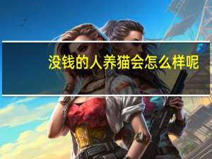 没钱的人养猫会怎么样呢