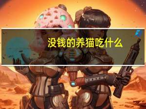 没钱的养猫吃什么