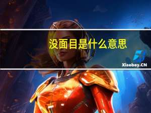 没面目是什么意思