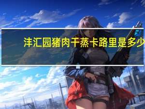 沣汇园 猪肉干蒸卡路里是多少