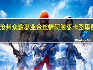 沧州众鑫枣业 金丝情阿胶枣卡路里是多少