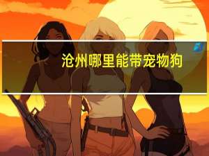 沧州哪里能带宠物狗