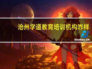 沧州学道教育培训机构咋样