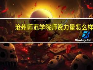 沧州师范学院师资力量怎么样
