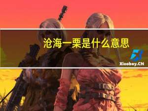 沧海一栗是什么意思