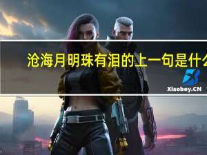 沧海月明珠有泪的上一句是什么