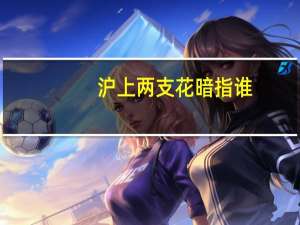沪上两支花暗指谁