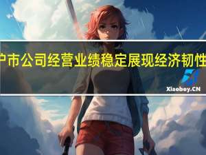沪市公司经营业绩稳定 展现经济韧性与潜力