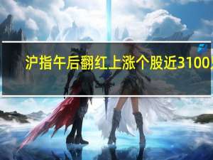 沪指午后翻红 上涨个股近3100只