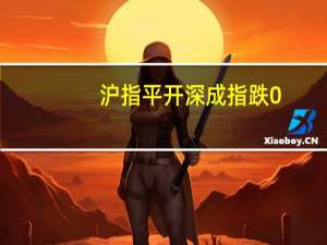 沪指平开深成指跌0.06创业板跌0.1