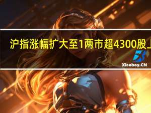 沪指涨幅扩大至1 两市超4300股上涨