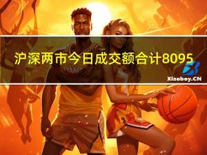 沪深两市今日成交额合计8095.47亿元赛力斯成交额居首