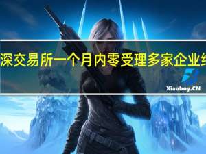 沪深交易所一个月内零受理 多家企业终止定增