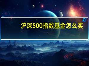 沪深500指数基金怎么买