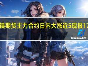 沪镍期货主力合约日内大涨近5%现报173460元/吨