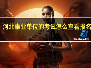 河北事业单位的考试怎么查看报名人数