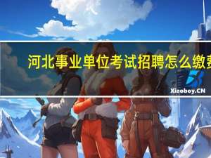 河北事业单位考试招聘怎么缴费