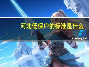 河北低保户的标准是什么