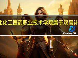 河北化工医药职业技术学院属于双高计划院校吗