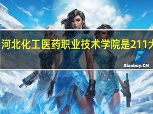 河北化工医药职业技术学院是211大学吗