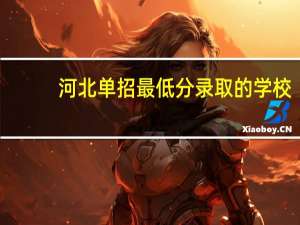 河北单招最低分录取的学校