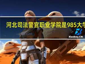 河北司法警官职业学院是985大学吗