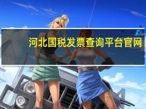 河北国税发票查询平台官网（河北国税发票查询）