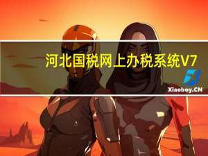 河北国税网上办税系统 V7.3.004 官方版（河北国税网上办税系统 V7.3.004 官方版功能简介）