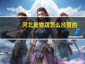 河北宠物店怎么经营的