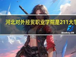 河北对外经贸职业学院是211大学吗