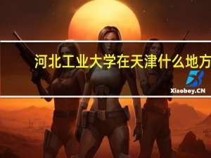 河北工业大学在天津什么地方