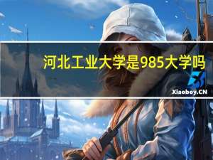 河北工业大学是985大学吗