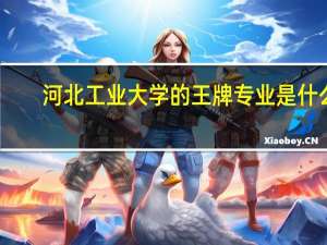河北工业大学的王牌专业是什么
