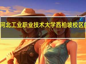河北工业职业技术大学西柏坡校区的专业