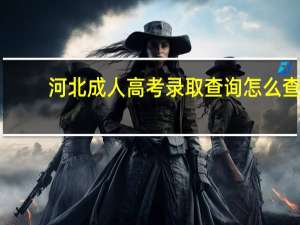 河北成人高考录取查询怎么查