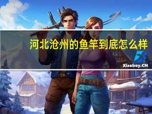 河北沧州的鱼竿到底怎么样