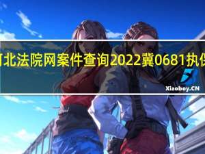 河北法院网案件查询2022冀0681执保121号
