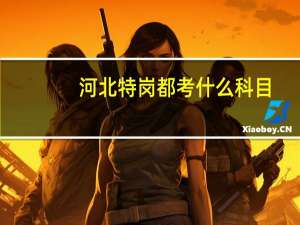 河北特岗都考什么科目