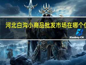 河北白沟小商品批发市场在哪个位置（河北白沟小商品批发市场在哪）
