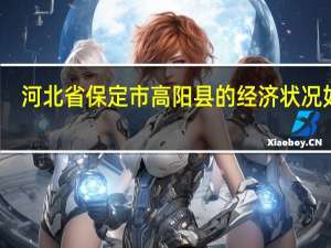 河北省保定市高阳县的经济状况如何？