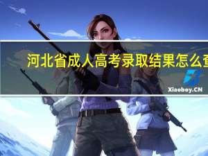河北省成人高考录取结果怎么查