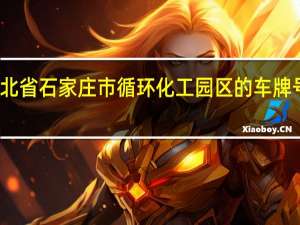 河北省石家庄市循环化工园区的车牌号是什么