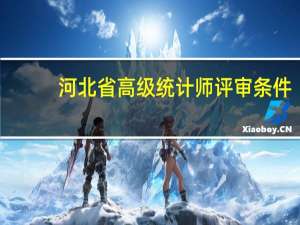 河北省高级统计师评审条件