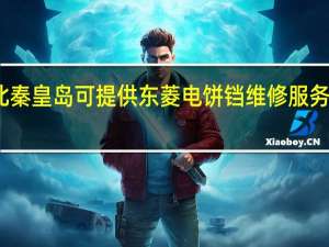 河北秦皇岛可提供东菱电饼铛维修服务地址在哪