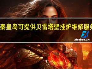 河北秦皇岛可提供贝雷塔壁挂炉维修服务地址在哪