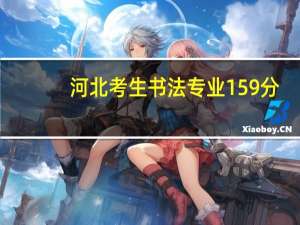 河北考生书法专业159分,文化330能报考什么学校
