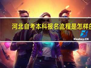 河北自考本科报名流程是怎样的